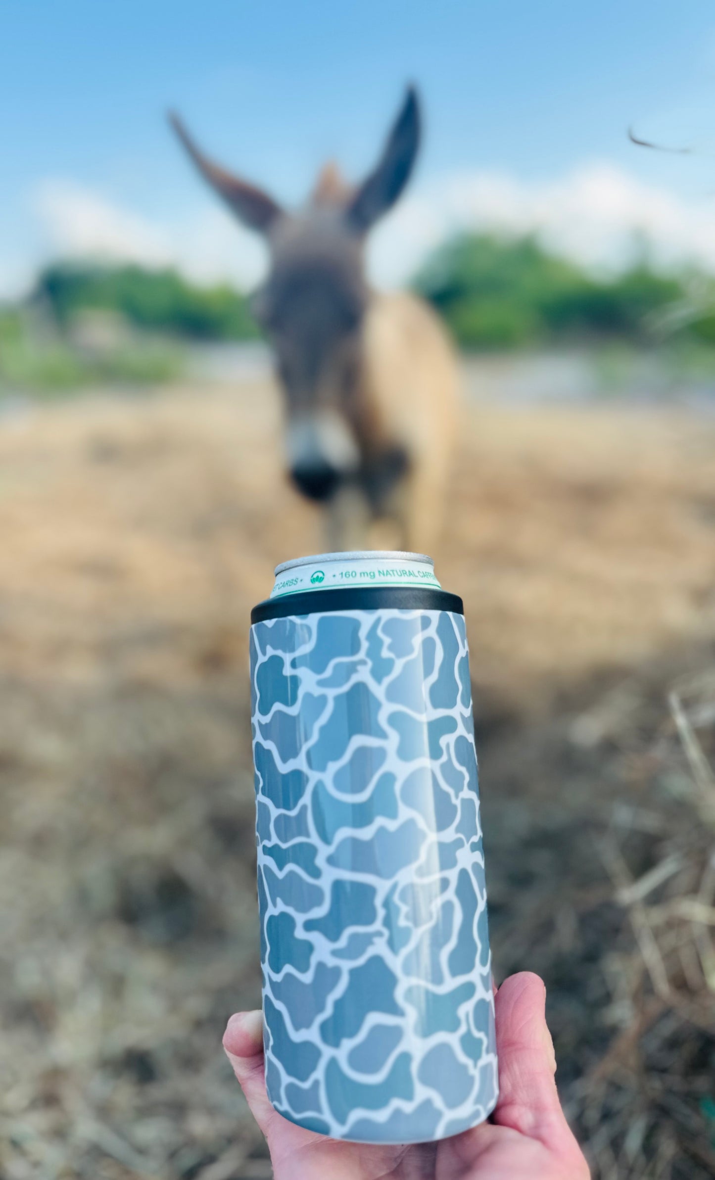 Can Cooler